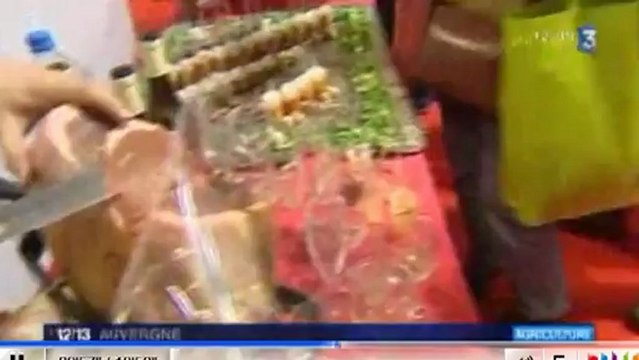 Reportage Fr3 au Salon de l'agriculture Stand Cantal