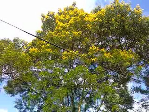 ORACIÓN HOSPITALES - POR VALDEMIR MOTA DE MENEZES