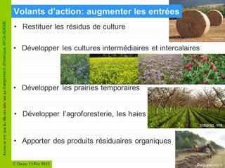 Stocker du carbone dans les sols agricoles ?