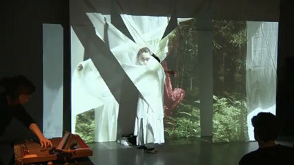 BOOK MACHINE (Paris) The Dream of the Volunteer, Anna Parkina en collaboration avec Sophie Agnel, cordophone -  Un Nouveau festival 2013