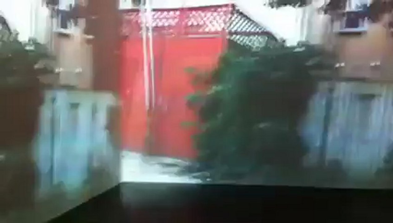 The Fire Flies Francesca Baltimore (Installation Mac/Val, vue intérieure)