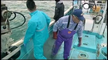 Greenpeace slams WHO over Fukushima radiation