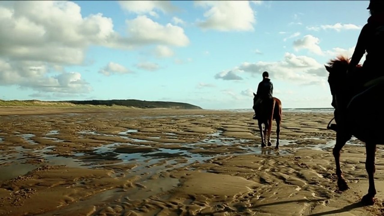La Hague à cheval