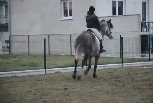 Dernier cours avant concours de la daube