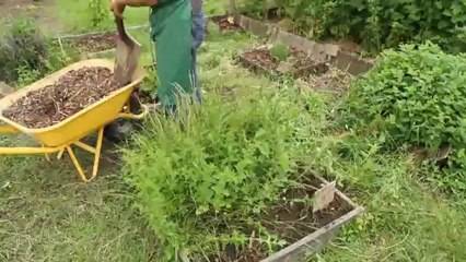 Pailler avec le bois des feuillus pour garder l'humidité