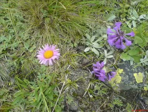 Eller Aldı Yarimi Ben Kaldım Köşelere Seslibumekan