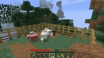Minecraft Livestream Recording From Saturday the 10th Part 3/3