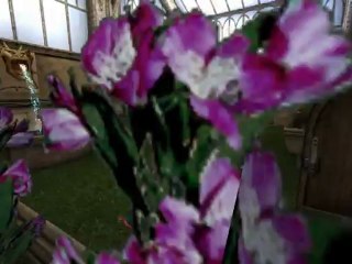 Walkthrough Harry Potter et le Prisonnier d'Azkaban: Partie 4 [PC]