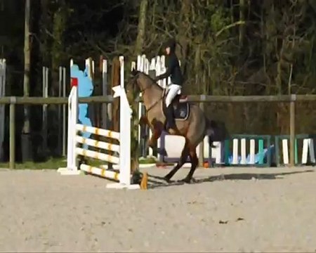 KaTHLEEN ET HARRY CLUB2 Conches 17/02/13