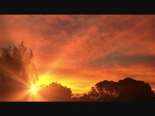 Cat Stevens - Morning Has Broken