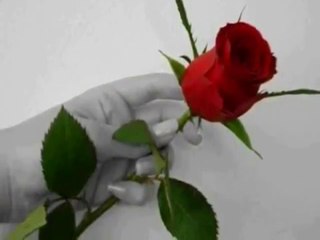 ♥♥ Always On My Mind ♥♥ MICHAEL BUBLÉ