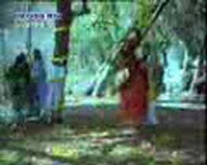 marwari song2