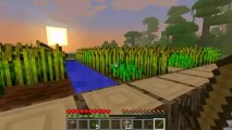 Minecraft Survival (PreRelease 1.2) Jungle Biome with MsScaryPanda