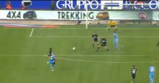 Napoli - juventus 1-1 Goal Gokhan inler SKYHD 1/03/2013