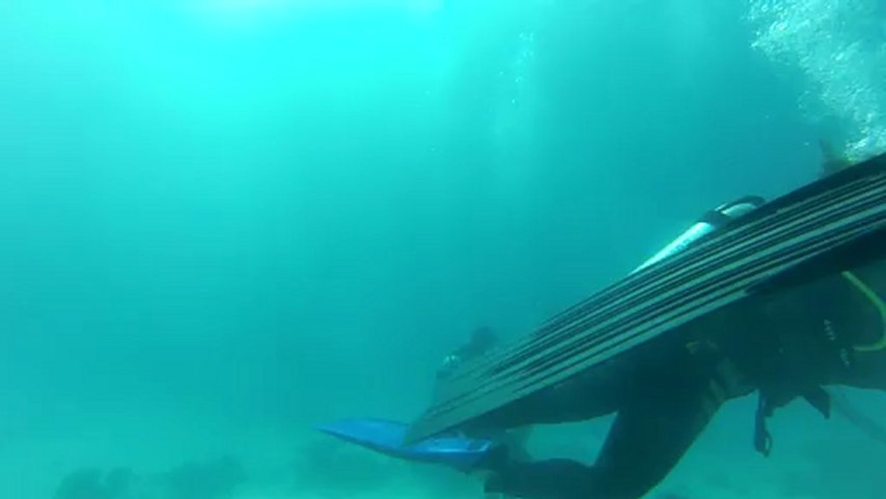 Plongée en Egypte (El gouna)