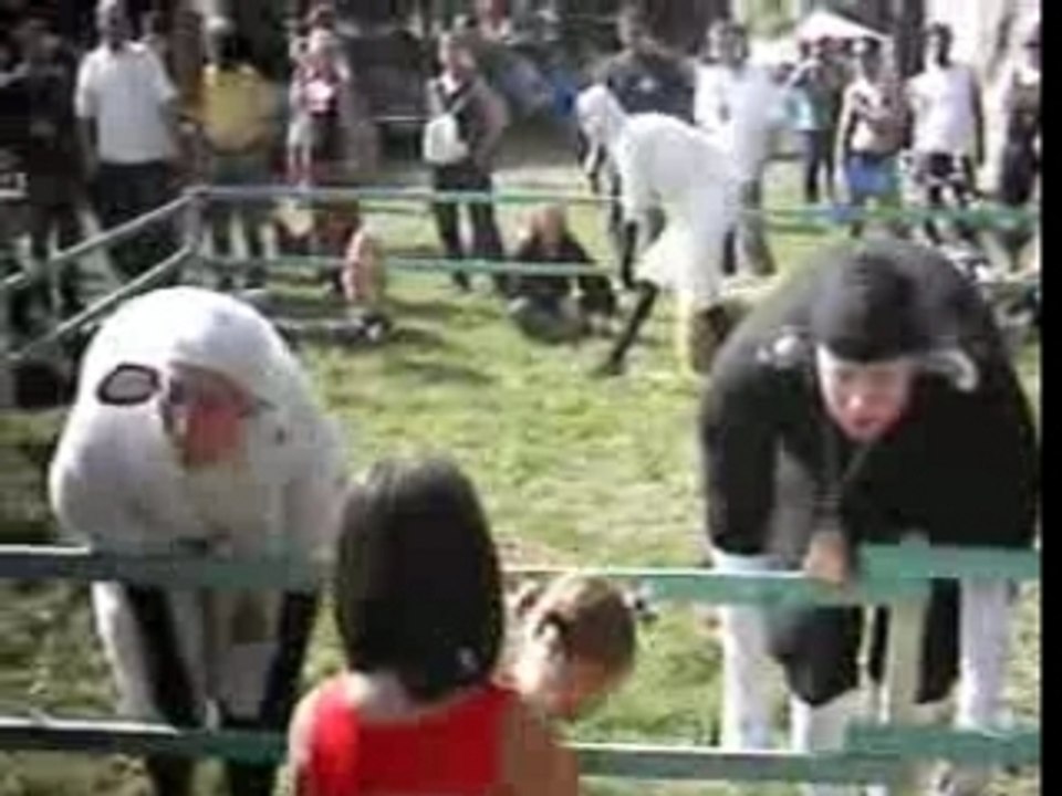 Mouton szigétien