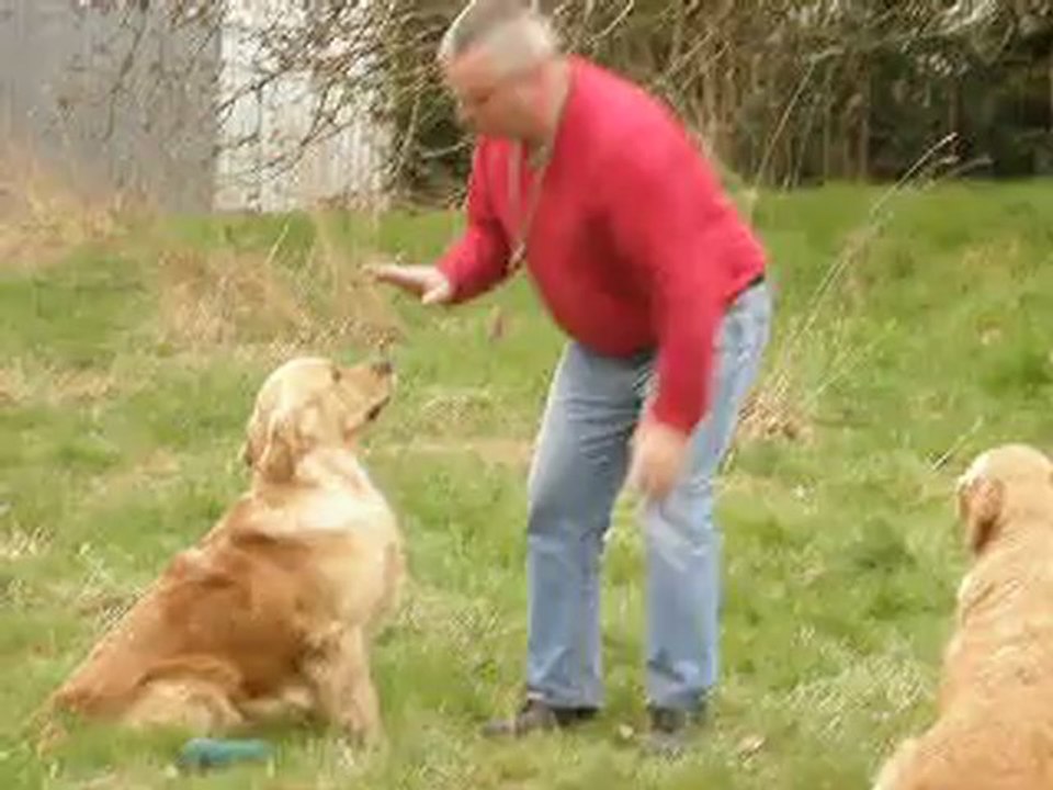 franck et everly et filou saut  80 cm