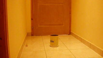 Rebond Balle de ping-pong dans une boîte (1)