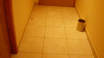 Rebond Balle de ping-pong dans une boîte (2)