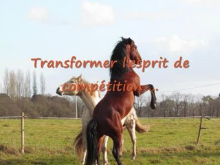 Etre en Equitude® à Terre d'illich - Mars 2013