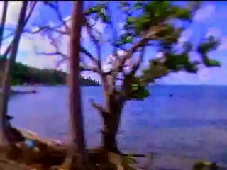 Kur-an-ı Kerim Türkçe Meali 099zilzal Süresi