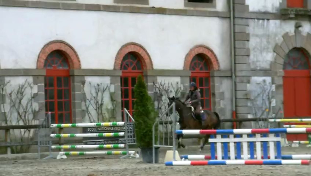 JESS ET TULIPE - 2 Mars 2013 - Lamballe