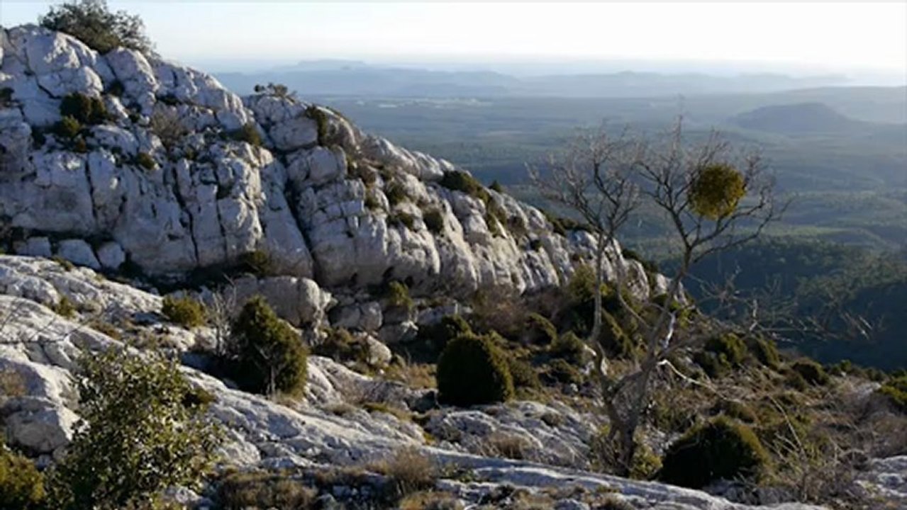Les crêtes au Saint-Pilon