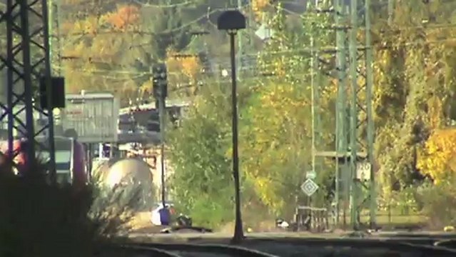 Züge bei Unkel und Rheinbrohl, DLC Class 66, ERS 189, Bayern Bahn 139, 152, 3x 185, 3x 143, 2x 425