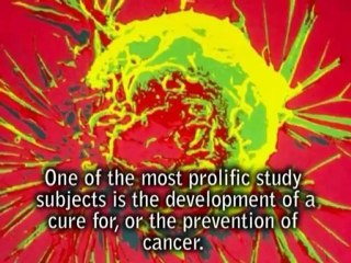 Vitamins reduce cancer risk