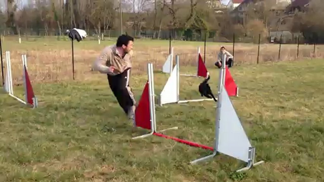 Minta, 6 mois, entrainement agility 2