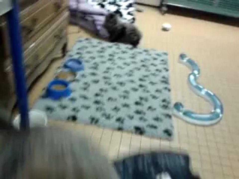 video-2013-03-02-15-01-03