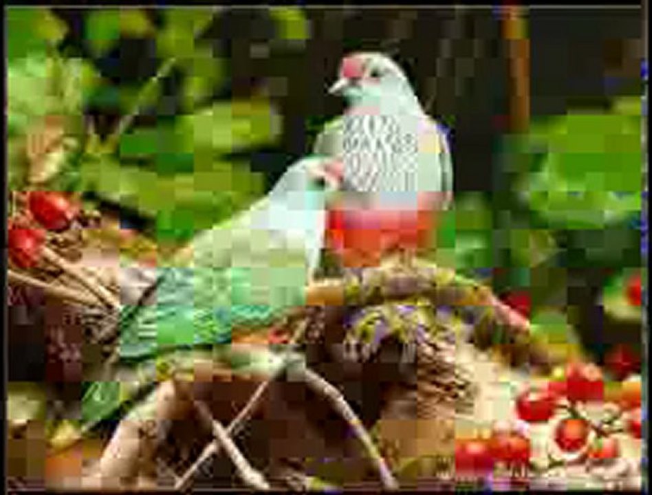 Gürsel  Ugurlu.Gurbetde Ömrüm Gececek.