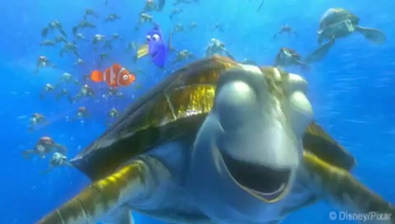 Essai Marin - Le Monde de Nemo