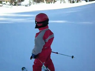 L'ourson à deux étoiles