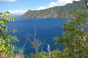 Mango Island Lodges clip