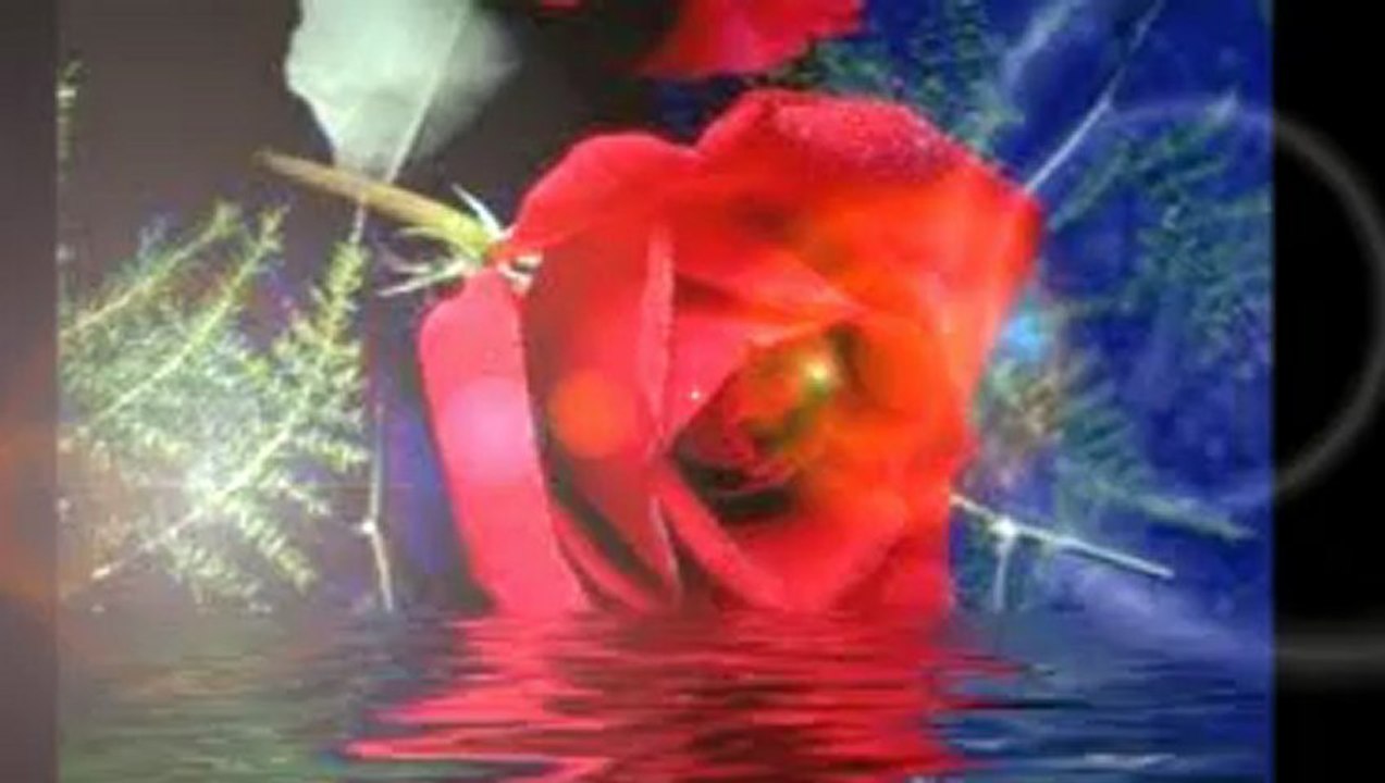 Irfan Gültekin.Dostum    Dostum