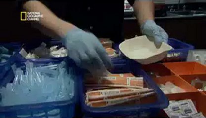 Les ravages de la drogue 1/2