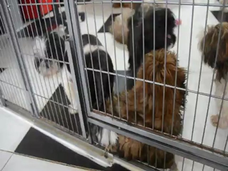 Hétoile et Happy Birthday à 2 mois 1/2