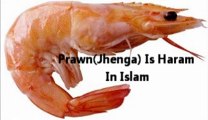 Jehnga (PRAWN) Khana Haram e Khatti In Islam By Mufti Muhammad Zarwali Khan