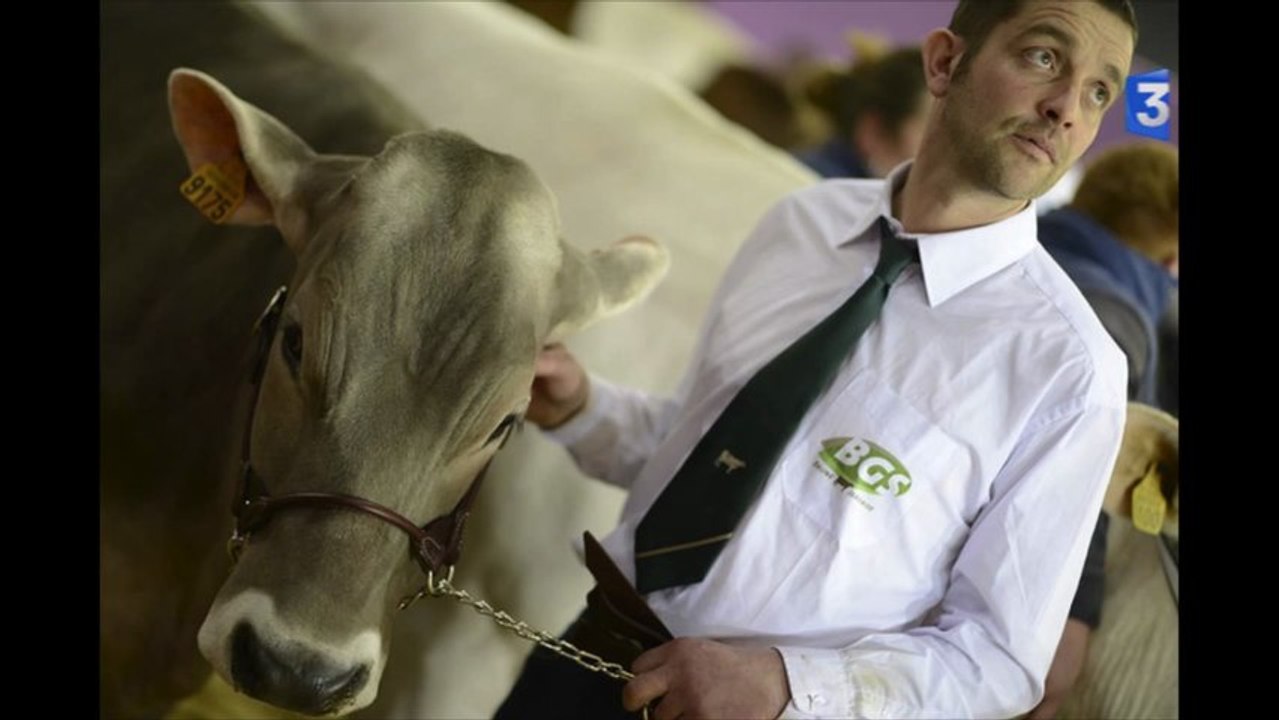 SIA 2013 : Une histoire simple