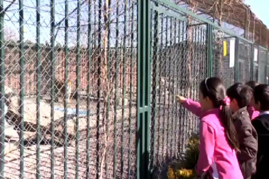 Üçüncü kez dördüz doğurdu