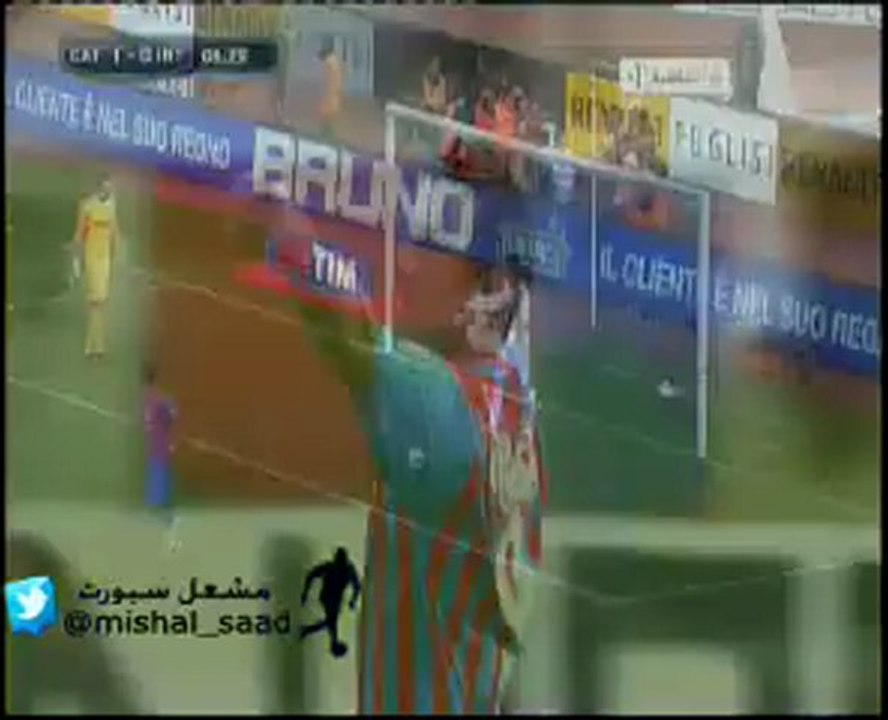 cat 1-0 int