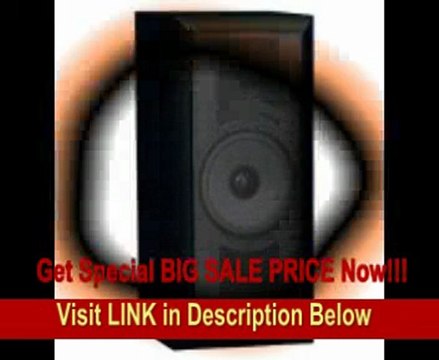 [FOR SALE] THIEL SCS4 in Black Ash High Performance Surround Bookshelf or Stand Loudspeaker (Front/Center, Single, Black ...