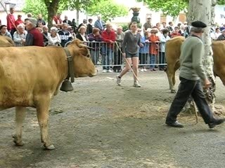 Fête de l'Estive 2006 (56)