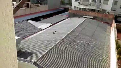 Olympus SZ-14 Zoom Test