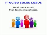 Use Precise Sales Leads Consumer Data for Direct Marketing and Sales