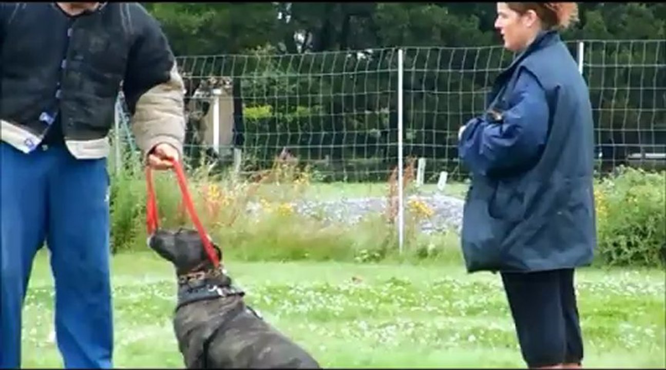 Entrainement Mordant 2012