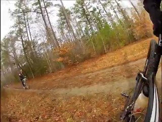 Deer Attacks Cyclist