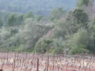 BruléParlesilluminés - Persécution aérienne 2 - 210213