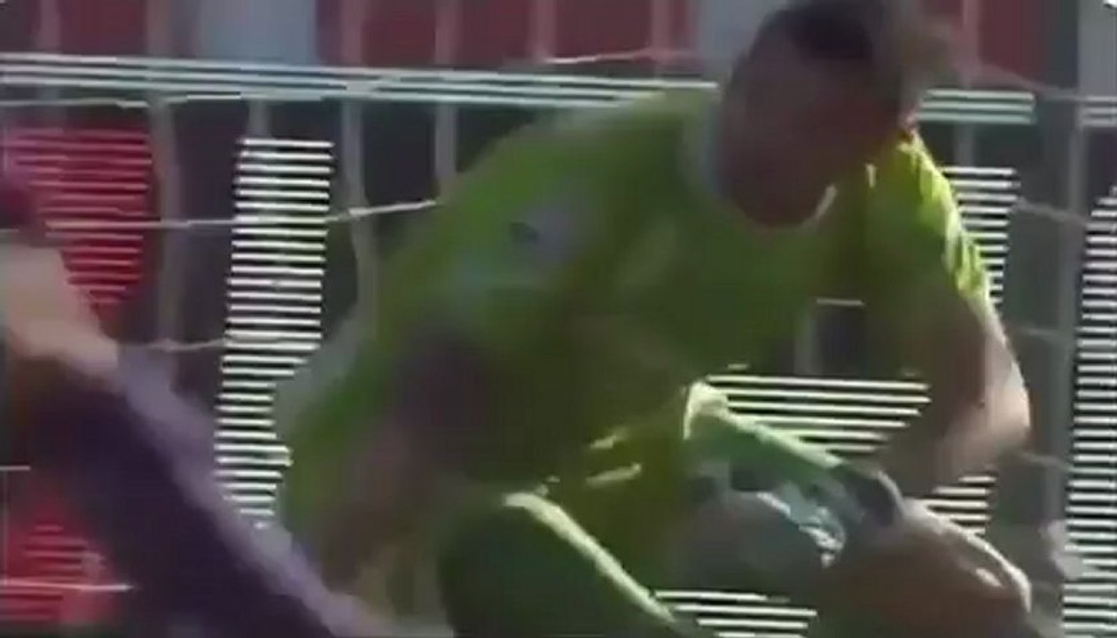 Gol de Pasqual [Fiorentina 1-0 Chievo Verona]